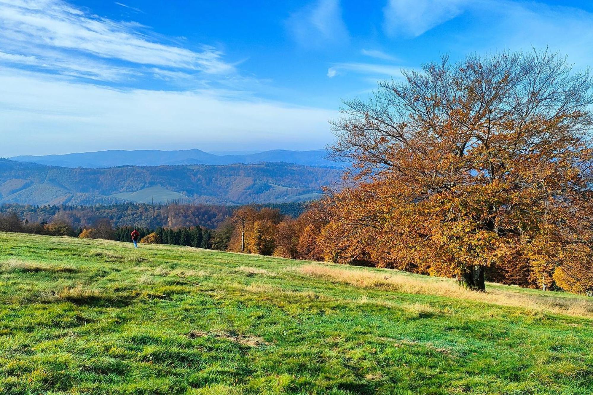 Dom Na Gorce W Beskidach - Apartamenty, *
