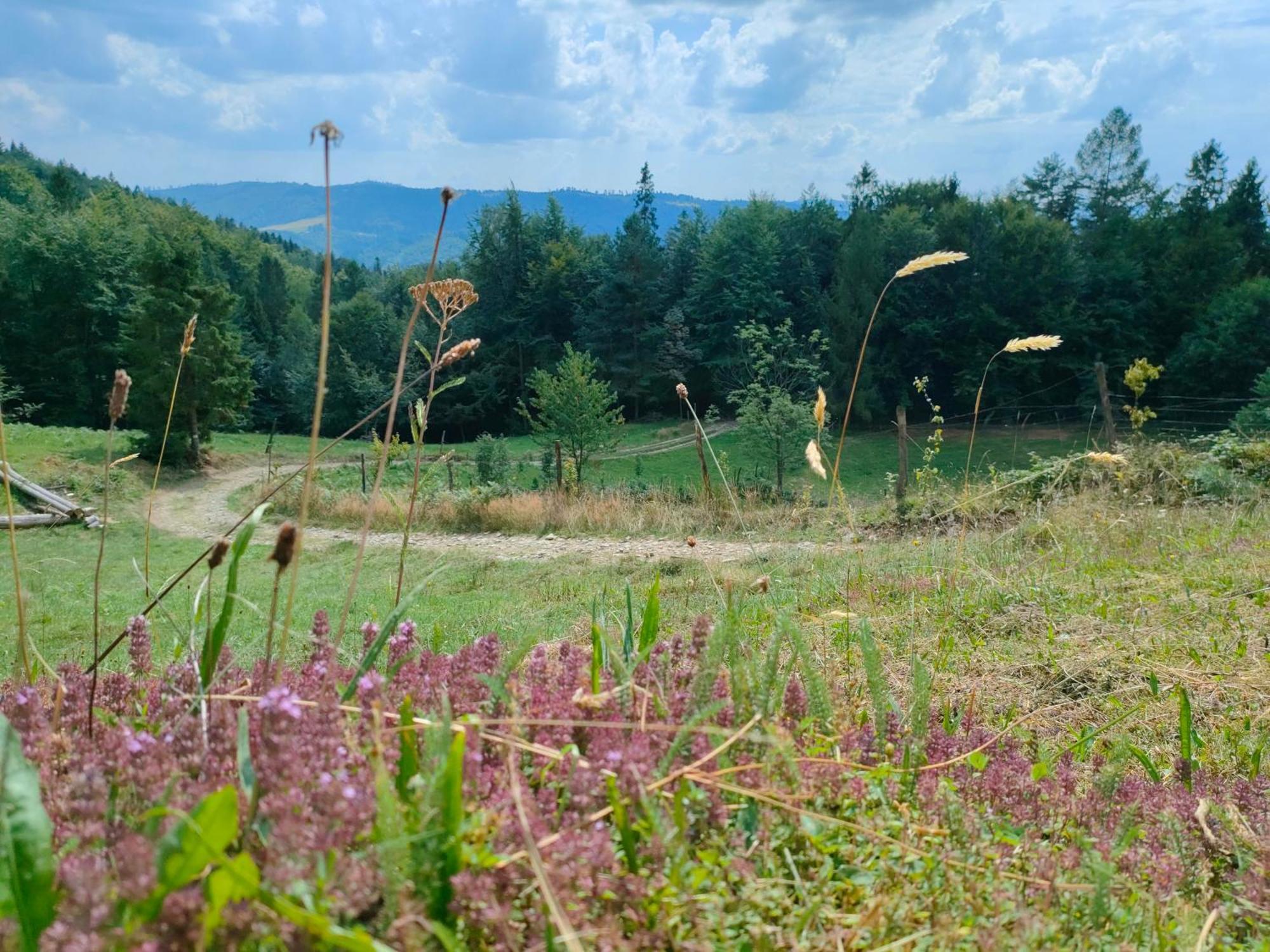 Apartment Dom Na Gorce W Beskidach - Apartamenty, Gorki Wielkie